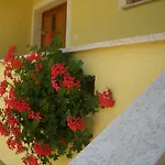 Sara * Pula